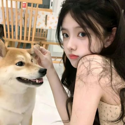 猎狐